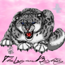 theleopardbrightsky avatar