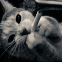 theletter-tmr avatar