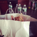 thelibrarianloves avatar