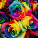 thelibrariansintheirtardis avatar