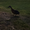 thelibraryoflurgenjeitner avatar