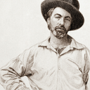 thelibraryshelf avatar