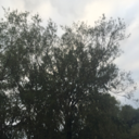 thelifeofa-ghost avatar