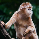 thelifeonbreak avatar