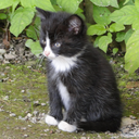 thelightisbright0987 avatar