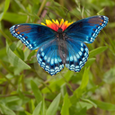 thelightreturns avatar