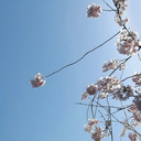 thelightsalwaysglow avatar