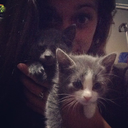 theliquortalking avatar