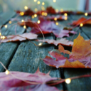 thelittle-mermaaiid avatar