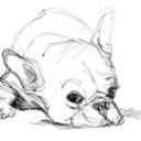 thelittlefrenchbullblog avatar