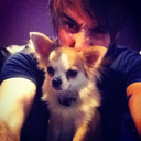 thelittlegirlinpurple avatar