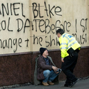 thelittlemarmot avatar