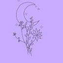 thelittlepasserine avatar