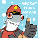 thelittleshark avatar