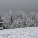 thelittlestmy avatar