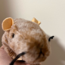 thelonely-journalkeeper avatar