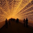 thelonelyhybrid avatar