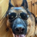 thelonelyumbrella avatar