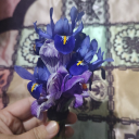 thelonewolfwrites avatar