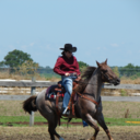 thelopingcowgirl avatar