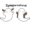 theloveableunicorn avatar