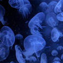 thelugubriousartist avatar