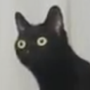 theluminousnight avatar