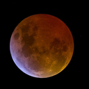 thelunaralchemist avatar