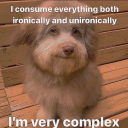 thelyinthebitchandthewhoredrobe avatar