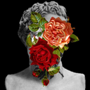 thelyreofapollo avatar