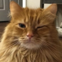 themabyesystem avatar