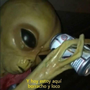 themadnesslovesu143 avatar