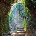 themadnessthatlingers avatar