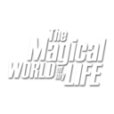 themagicalworldofmylife avatar