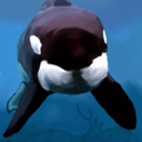 themagicof-orca avatar