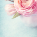 themainsourcesofmyguilt avatar