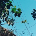 themaninthereality avatar