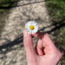 themanyhobbiesoffem avatar