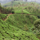 themarkofthenomad avatar