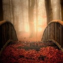 themasterofspeed avatar