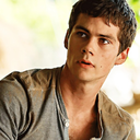 themazerunnerupdates avatar