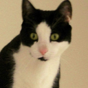 thembo-cyanide avatar