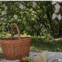 themcarlton89 avatar