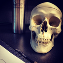 themedicalstudentblog-blog avatar