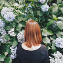 themeeklybright avatar