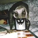 themelodyofgod avatar