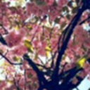 thememoriesofaqueen avatar