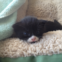 thememoryisntmine-blog avatar