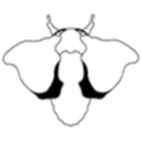 themendedmoth avatar