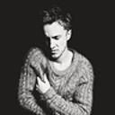 themesbypolinomial avatar